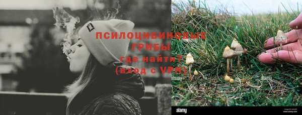 ПСИЛОЦИБИНОВЫЕ ГРИБЫ Зеленокумск