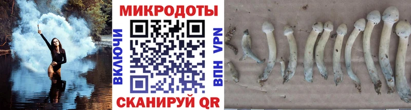 Купить закладки  Коряжма  Галлюциногенные грибы прущие грибы 